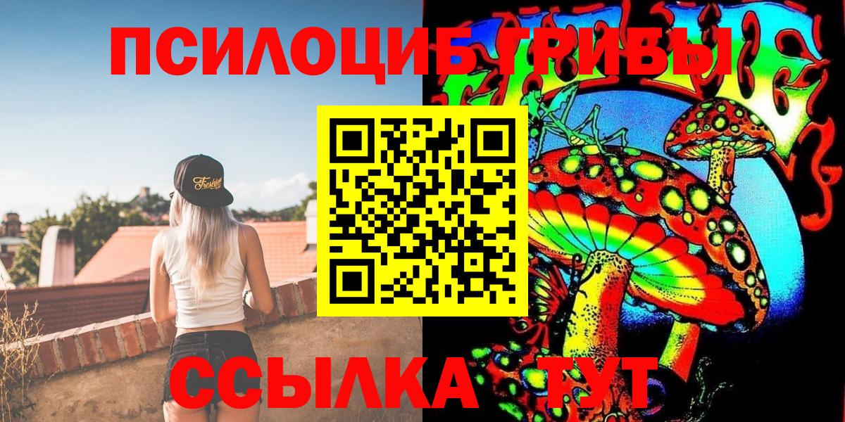 Псилоцибиновые грибы Psilocybe  Вход с VPN  Тихвин 
